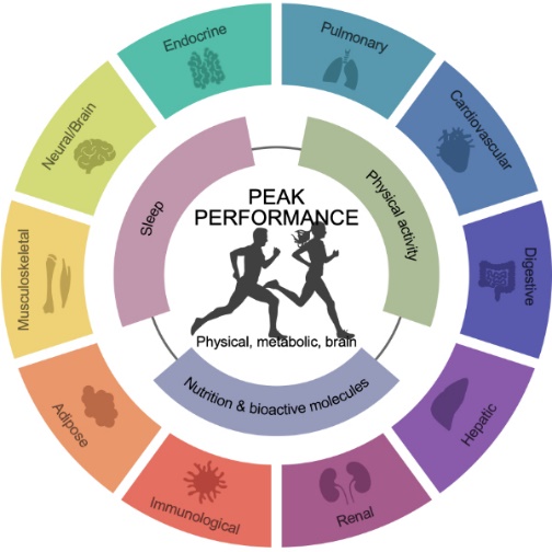 Factors influencing performance.